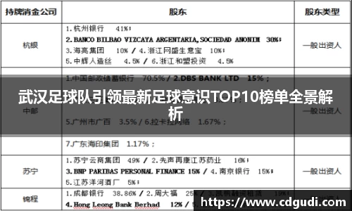 武汉足球队引领最新足球意识TOP10榜单全景解析